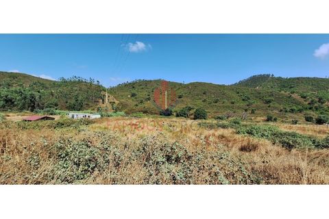 Terra a Marmelete, Faro, Marmelete - € 9.500 | Ref: 411/2024 - foto 9