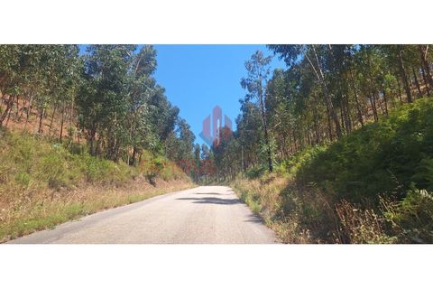 Terra a Marmelete, Faro, Marmelete - € 19.000 | Ref: 413/2024 - foto 2