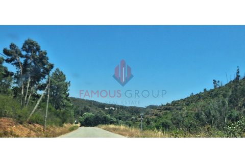 Terra a Marmelete, Faro, Marmelete - € 19.000 | Ref: 413/2024 - foto 3