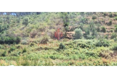 Terra a Marmelete, Faro, Marmelete - € 19.000 | Ref: 413/2024 - foto 4