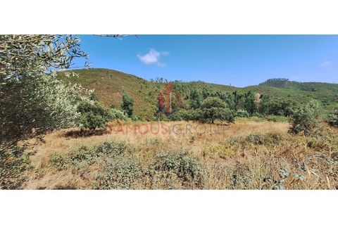 Terra a Marmelete, Faro, Marmelete - € 19.000 | Ref: 413/2024 - foto 6