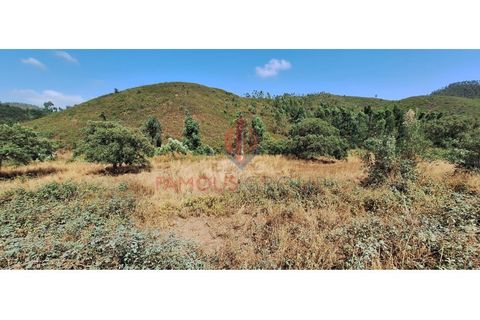 Terra a Marmelete, Faro, Marmelete - € 19.000 | Ref: 413/2024 - foto 7