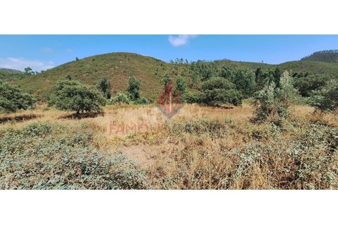 Terra a Marmelete, Faro, Marmelete - € 19.000 | Ref: 413/2024 - foto 8