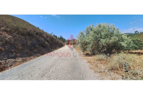 Terra a Marmelete, Faro, Marmelete - € 19.000 | Ref: 413/2024 - foto 9