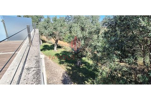 Lejlighed i Estombar, Faro, Estombar - € 158.000 | Ref: 398/2024 - foto 25