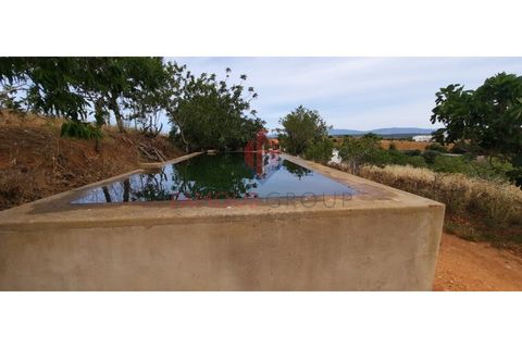 Farm i Estombar, Faro, Estombar - € 575.000 | Ref: 030/2022 - foto 7