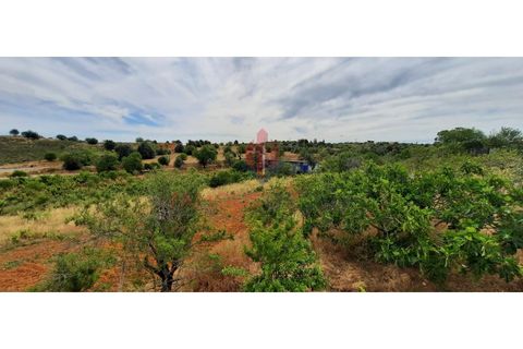 Farm i Estombar, Faro, Estombar - € 575.000 | Ref: 030/2022 - foto 10
