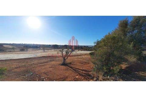 Farm i Estombar, Faro, Estombar - € 575.000 | Ref: 030/2022 - foto 17