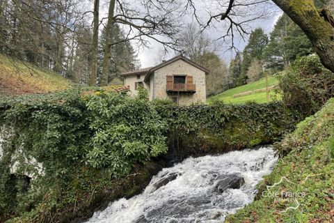 Farm hus i Cayrols, Cantal, Cayrols - € 399.000 | Ref: 33_BTVMA420007339 - foto 11