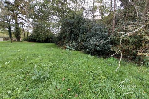 Terra a Louchats, Gironde, Louchats - € 106.700 | Ref: 43_FLLOU-6604 - foto 3