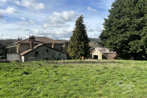 Farm i Parlan, Cantal, Parlan - € 260.000 | Ref: 33_BTVAP420006558 - foto 15