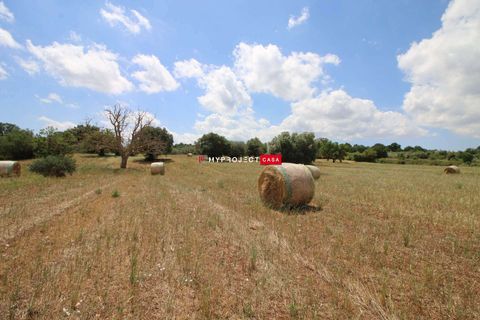 Landsbyhus i Ostuni, Brindisi, Ostuni - € 110.000 | Ref: B195 - foto 11