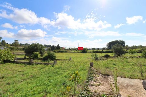 Farm hus i Ostuni, Brindisi, Ostuni - € 49.000 | Ref: C152 - foto 3