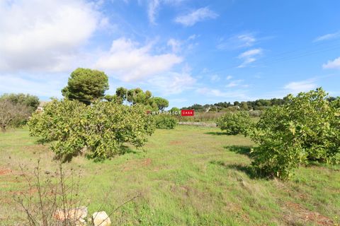 Farm hus i Ostuni, Brindisi, Ostuni - € 49.000 | Ref: C152 - foto 4