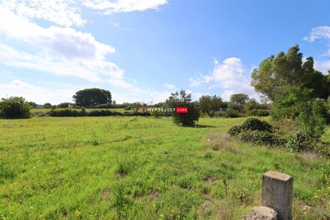 Farm hus i Ostuni, Brindisi, Ostuni - € 49.000 | Ref: C152 - foto 5