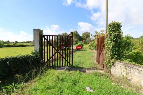 Farm hus i Ostuni, Brindisi, Ostuni - € 49.000 | Ref: C152 - foto 6