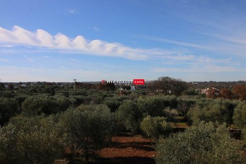 Farm hus i Cisternino, Brindisi, Cisternino - € 320.000 | Ref: D223 - foto 11