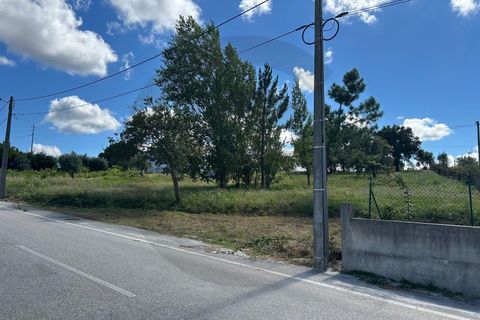 Terra a Alburitel, Santarem, Alburitel - € 45.000 | Ref: C0269-01815 - foto 3