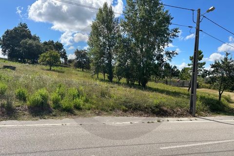 Terra a Alburitel, Santarem, Alburitel - € 45.000 | Ref: C0269-01815 - foto 4