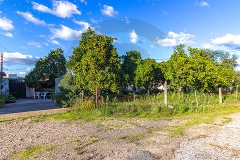 Villa a Constancia, Santarem, Constancia - € 195.000 | Ref: C0269-01866 - foto 2