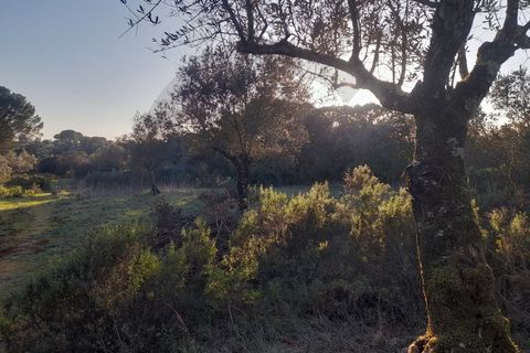 Tomt i Alcanena, Santarem, Alcanena - € 25 500 | Ref: 1780-02917 - foto 2