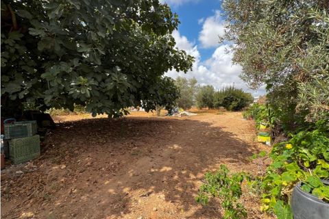Villa i Olhao, Faro, Olhao - € 780.000 | Ref: 381240128 - foto 7