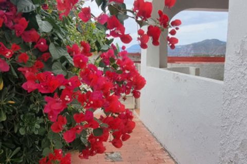 Villa a Lipari, Messina, Lipari - € 180.000 | Ref: GCI028 - foto 3