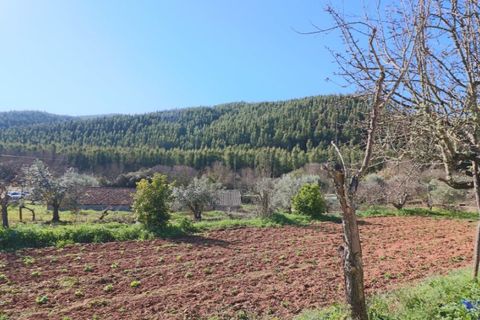 Byhus i Almodovar, Beja, Almodovar - € 150.000 | Ref: 338220006 - foto 26