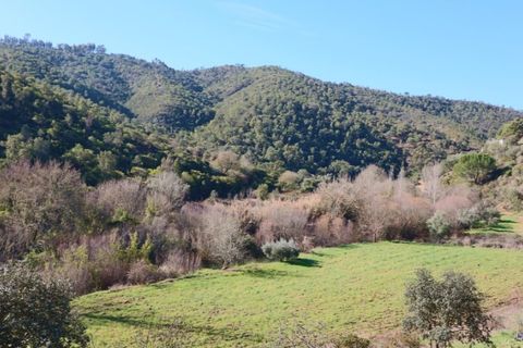 Byhus i Almodovar, Beja, Almodovar - € 150.000 | Ref: 338220006 - foto 32