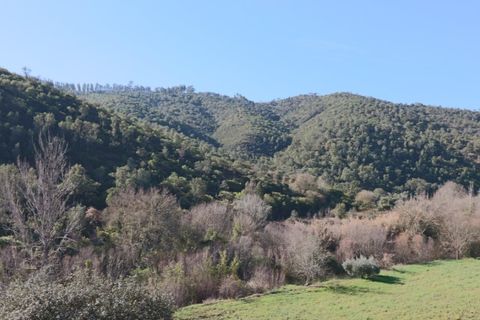 Byhus i Almodovar, Beja, Almodovar - € 150.000 | Ref: 338220006 - foto 33