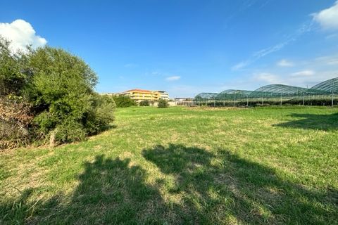 Terra a Milazzo, Messina, Milazzo - € 180.000 | Ref: TA003 - foto 2