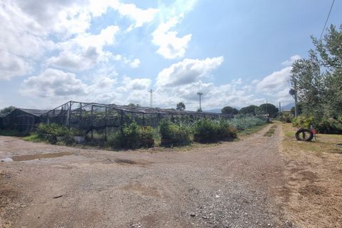 Tomt i Milazzo, Messina, Milazzo - € 135 000 | Ref: TA005 - foto 2