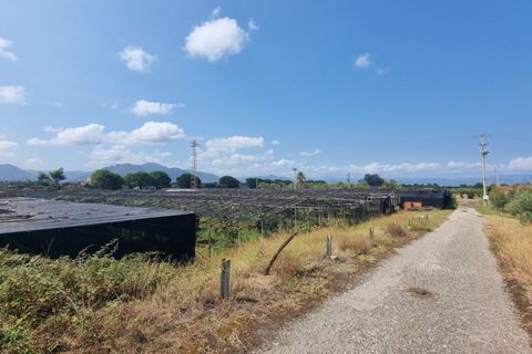 Tomt i Milazzo, Messina, Milazzo - € 135 000 | Ref: TA005 - foto 4