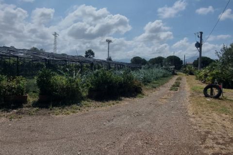 Tomt i Milazzo, Messina, Milazzo - € 135 000 | Ref: TA005 - foto 5