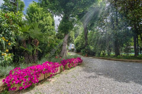 Erhvervsejendom i Lucca, Lucca, Lucca - € 2.550.000 | Ref: 6229 - foto 6
