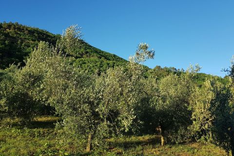 Villa i Capannori, Lucca, Capannori - € 420.000 | Ref: 6159 - foto 19