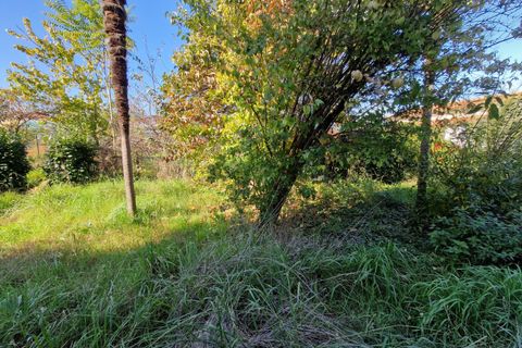 Byhus i Lucca, Lucca, Lucca - € 390.000 | Ref: 6232 - foto 41