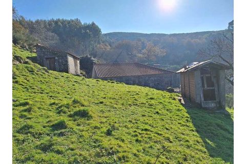 Træhytte i Ponte de Lima, Viana do Castelo, Ponte de Lima - € 119.000 | Ref: MDS4117 - foto 4