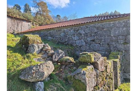 Træhytte i Ponte de Lima, Viana do Castelo, Ponte de Lima - € 119.000 | Ref: MDS4117 - foto 6