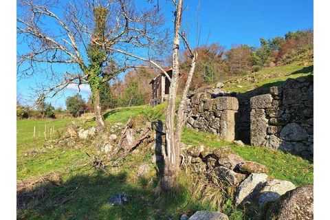 Træhytte i Ponte de Lima, Viana do Castelo, Ponte de Lima - € 119.000 | Ref: MDS4117 - foto 7