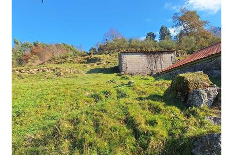 Træhytte i Ponte de Lima, Viana do Castelo, Ponte de Lima - € 119.000 | Ref: MDS4117 - foto 9
