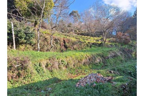Træhytte i Ponte de Lima, Viana do Castelo, Ponte de Lima - € 119.000 | Ref: MDS4117 - foto 12