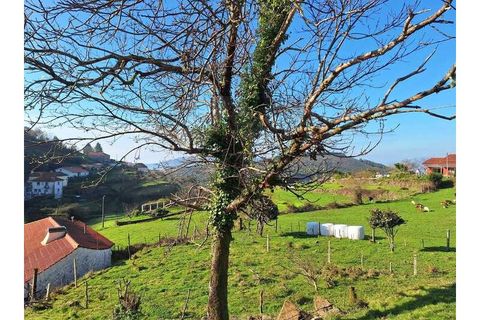 Træhytte i Ponte de Lima, Viana do Castelo, Ponte de Lima - € 119.000 | Ref: MDS4117 - foto 15