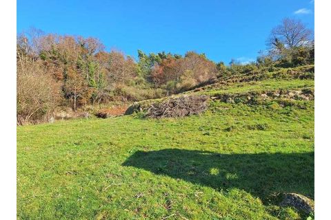 Træhytte i Ponte de Lima, Viana do Castelo, Ponte de Lima - € 119.000 | Ref: MDS4117 - foto 16