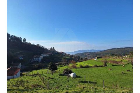 Træhytte i Ponte de Lima, Viana do Castelo, Ponte de Lima - € 119.000 | Ref: MDS4117 - foto 17