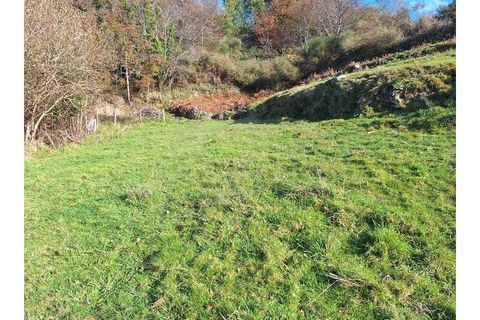 Træhytte i Ponte de Lima, Viana do Castelo, Ponte de Lima - € 119.000 | Ref: MDS4117 - foto 19
