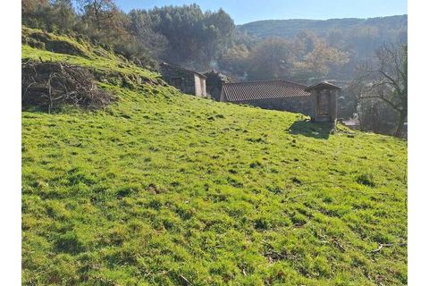 Træhytte i Ponte de Lima, Viana do Castelo, Ponte de Lima - € 119.000 | Ref: MDS4117 - foto 20