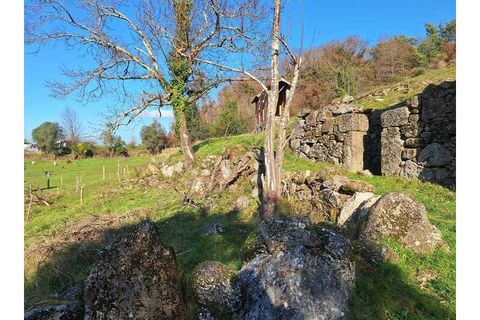 Træhytte i Ponte de Lima, Viana do Castelo, Ponte de Lima - € 119.000 | Ref: MDS4117 - foto 21