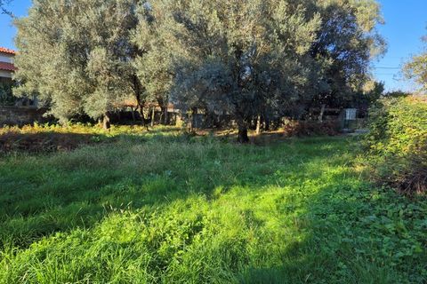 Helårsgrund i Ponte de Lima, Viana do Castelo, Ponte de Lima - € 58.500 | Ref: MDS4100 - foto 3