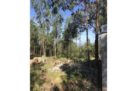 Helårsgrund i Ponte de Lima, Viana do Castelo, Ponte de Lima - € 120.000 | Ref: MDS4092 - foto 1